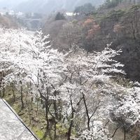 部屋からの眺め