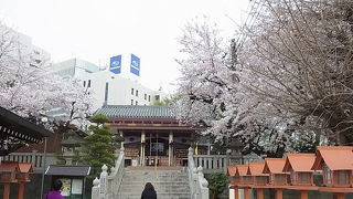 住宅地の中にあります