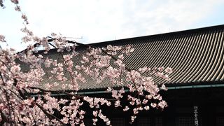 １０００体の千手観音像は圧巻