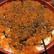 はらこ(イクラ)丼！イクラの弾力感あり！