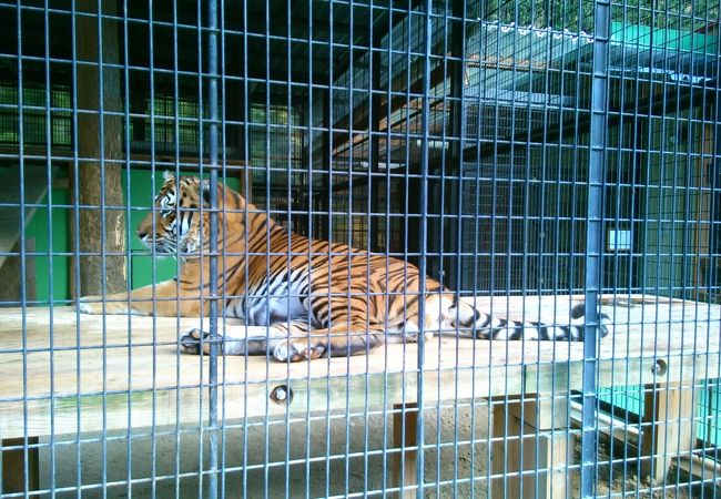 大内山動物園