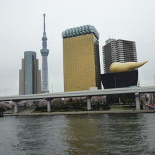 このアングルが一番のようです