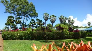 ちょっと、トイレ休憩がてら寄らせてもらった