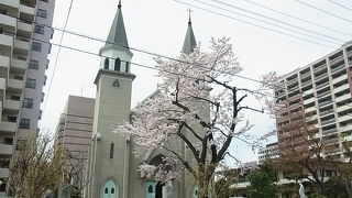 春の桜と相まって、素晴らしい風景でした