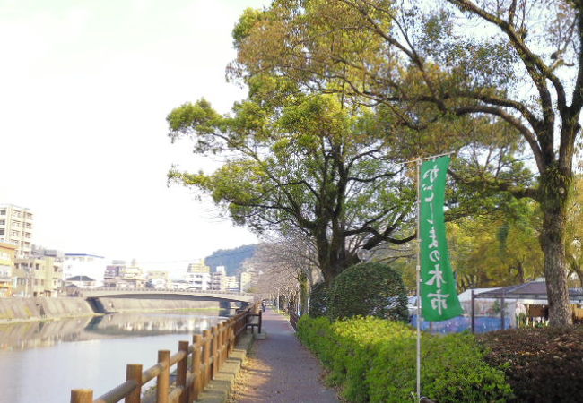 春の木市 クチコミ アクセス 営業時間 鹿児島市 フォートラベル 春の木市 クチコミ アクセス 営業時間 鹿児島市 フォートラベル