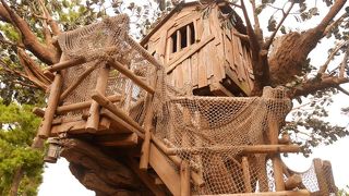 漫画に出てきそうな木の家。