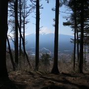 富士山の眺めは木が邪魔