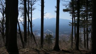 富士山の眺めは木が邪魔