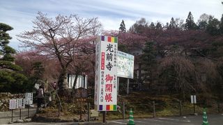 光前寺 七年に一度の御開帳