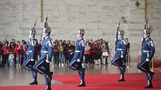 じっと動かない姿に感動