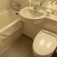 まぁ、一般的かな。