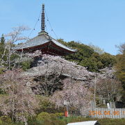 8番札所　普明山　真光院　熊谷寺