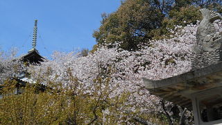 10番札所　得度山　灌頂院　切幡寺