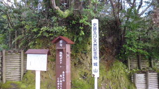 バスで行きました