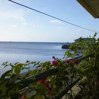 午後は反対側のテラスでうたた寝。