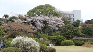 早稲田大学キャンパスそばの庭園