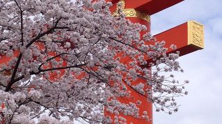 鳥居と桜