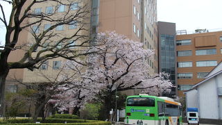 「あさが来た」