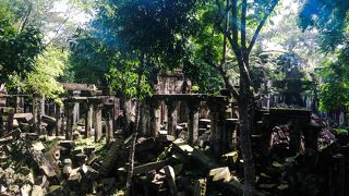 手付かずの遺跡