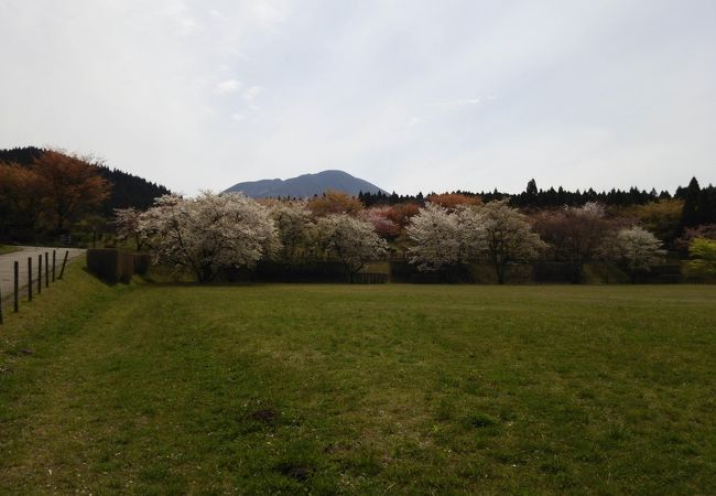 とても気持ち良い公園！