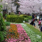 桜が満開の時がお薦め