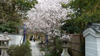 京都御苑内の神社。四季を感じることができそうです。