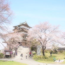 桜と高島城