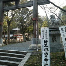 森の中で落ち着いた雰囲気です。