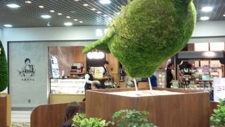 リニューアル完了のアゼリア