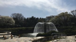 お手洗いも沢山あるので助かります