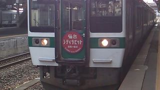 仙台シティラビット