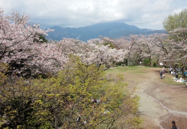 弘法山公園 クチコミ アクセス 営業時間 秦野 松田 足柄 フォートラベル 弘法山公園 クチコミ アクセス 営業時間 秦野 松田 足柄 フォートラベル