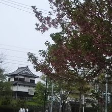 福岡城の櫓が見えます。
