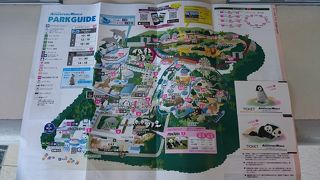 動物とのふれあい