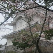 桜の季節でキレイな画に