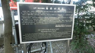 大宝律令で浅草に馬牧場が置かれた