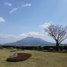 sakurajima view