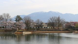 長坂牛池の桜