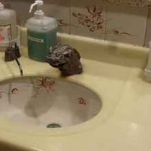 トイレの洗面台