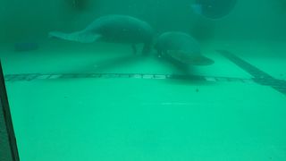 見学は無料です。