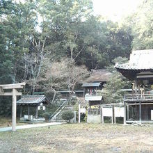 木々に包まれた静かな雰囲気です。