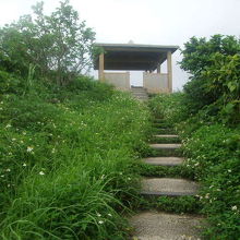 最後の上り階段付近の様子