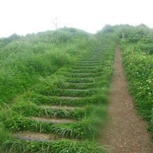 途中の上り階段が続く登山道の様子