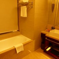 バスも広めです