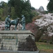 郡上八幡城の下です。