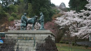 郡上八幡城の下です。