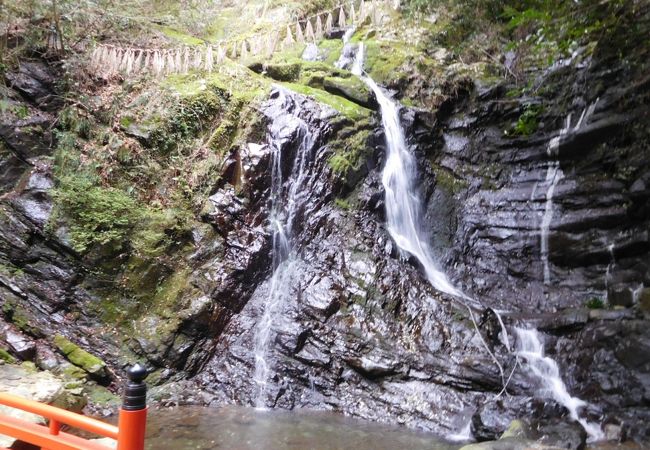 簡易ハイキングにもおすすめ