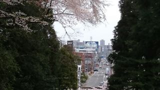 桜の季節にはお祭りがあります。