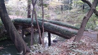 染井門からアプローチするとすぐです