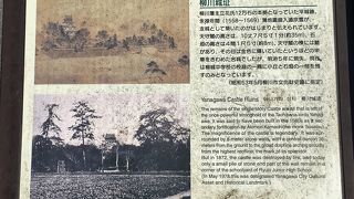 ５層の天守閣があった